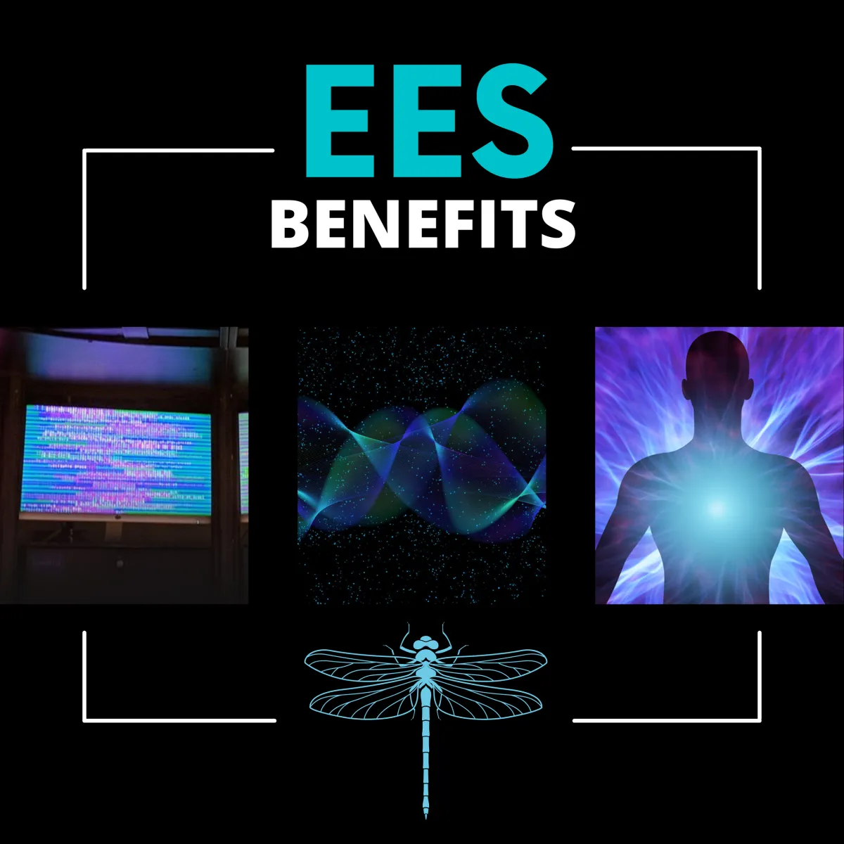 ESS Benefits