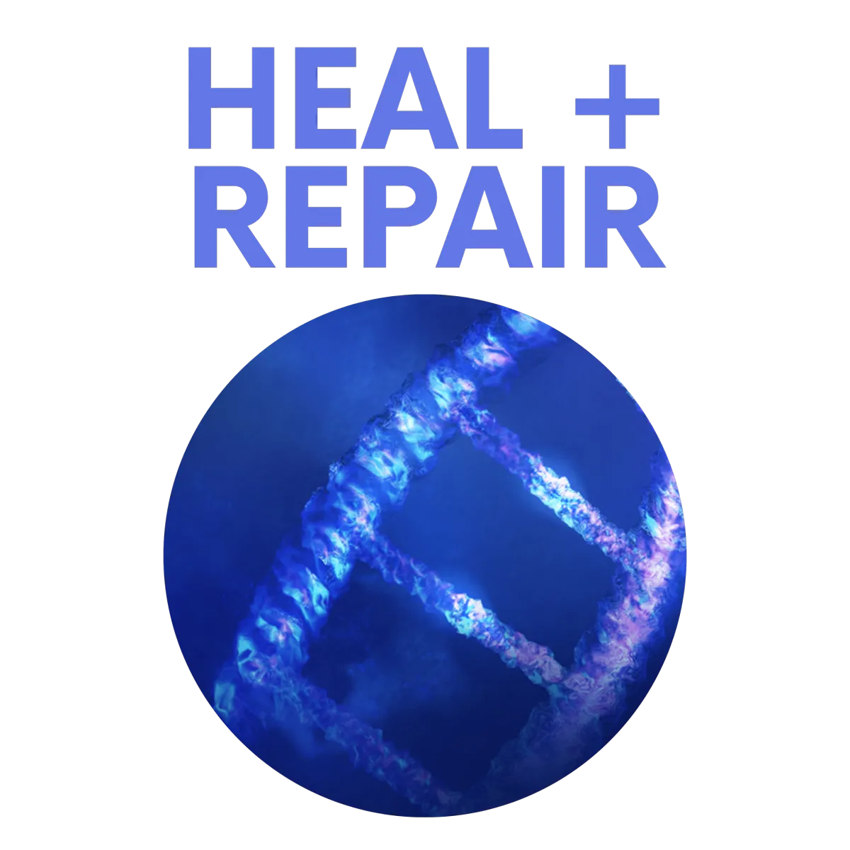 heal-and-repair