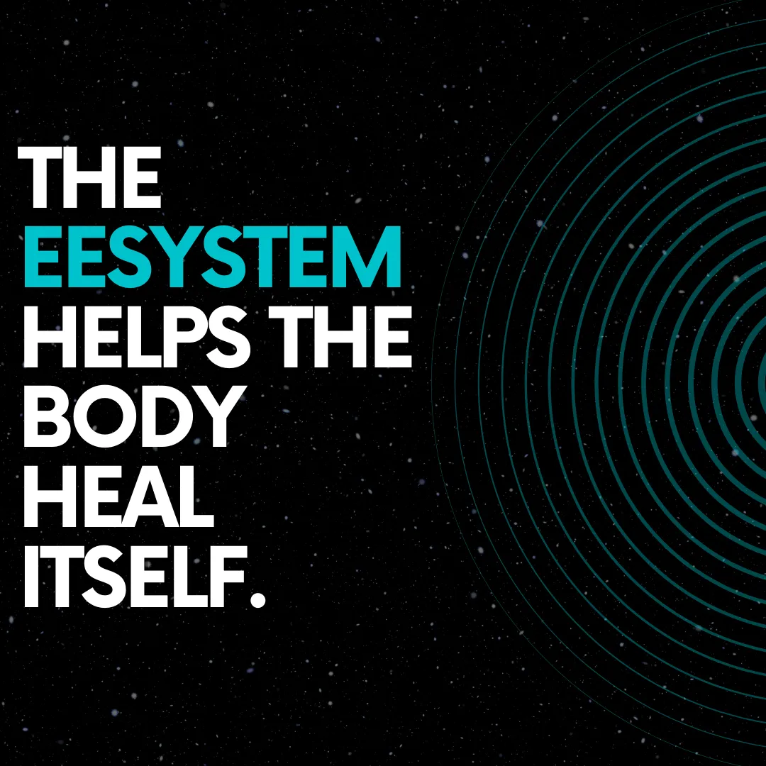 EE System Helps The Body Heal Itself